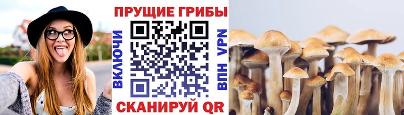 Галлюциногенные грибы мицелий закладки Краснотурьинск